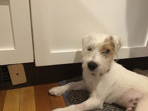 Meet your Posher, Alexandra